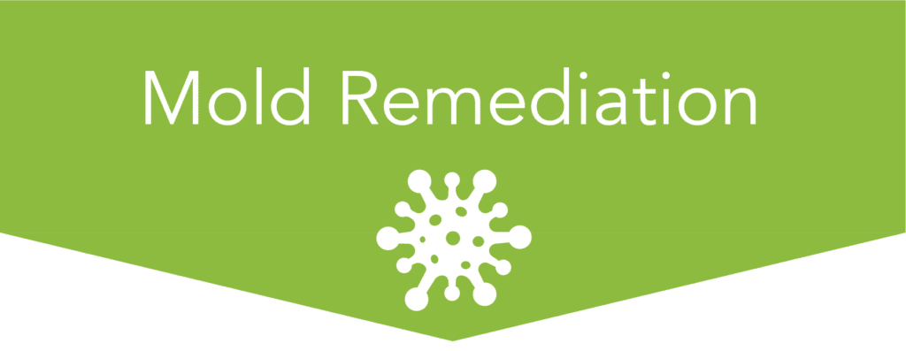 Mold Remediation